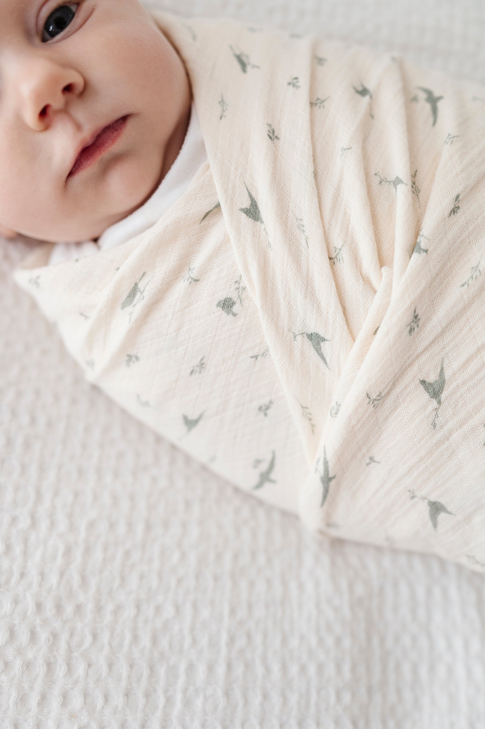 Cotton Muslin Swaddle Blanket Ely's & Co.