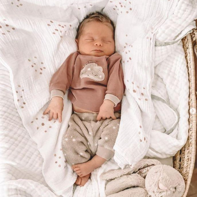 2 Pack Cotton Muslin Swaddle Blanket