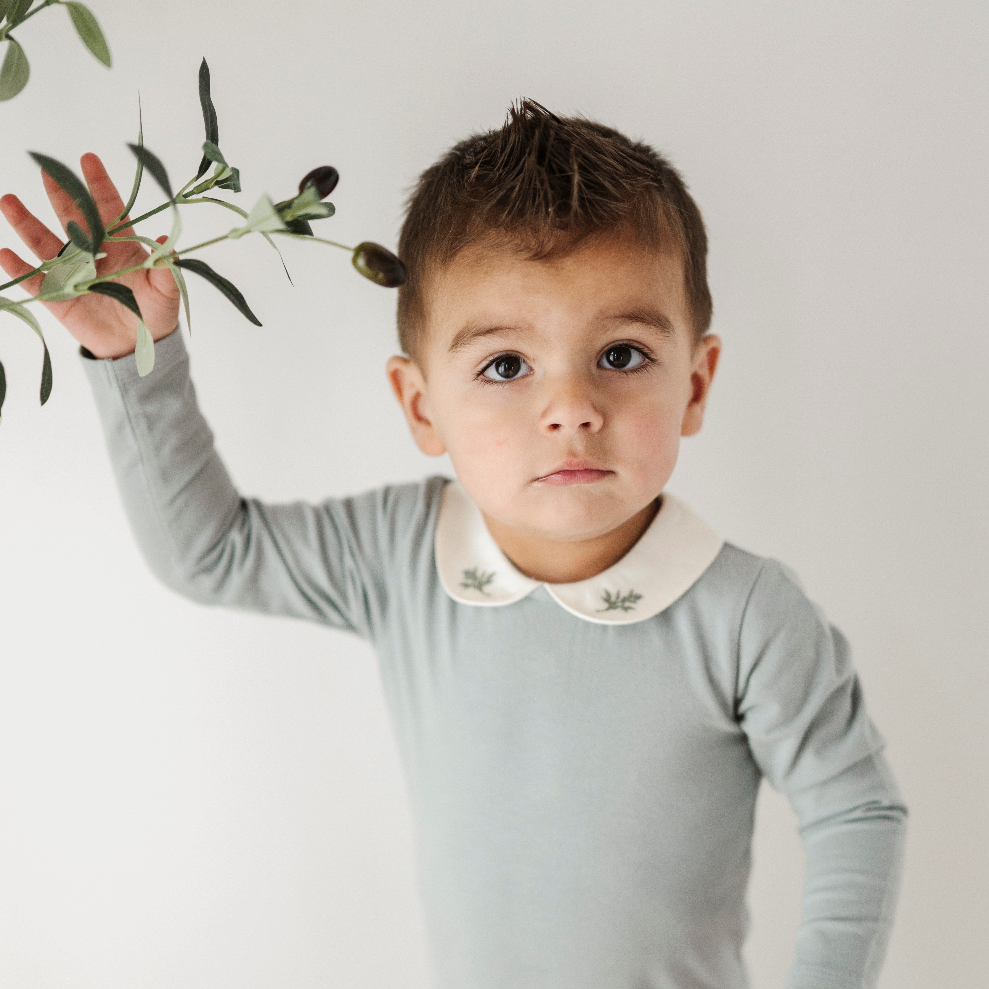 Embroidered Collar Collection