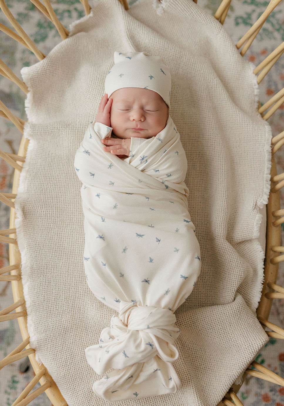 Butterfly & Dragonfly Collection