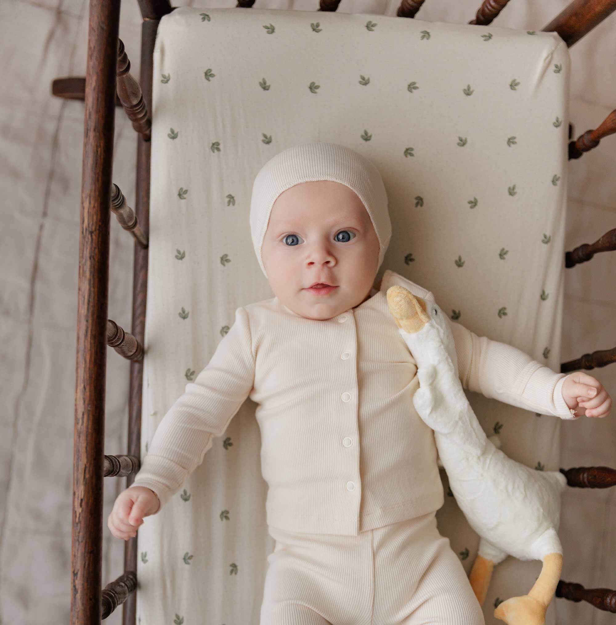 All Sheets - Ely's & Co.