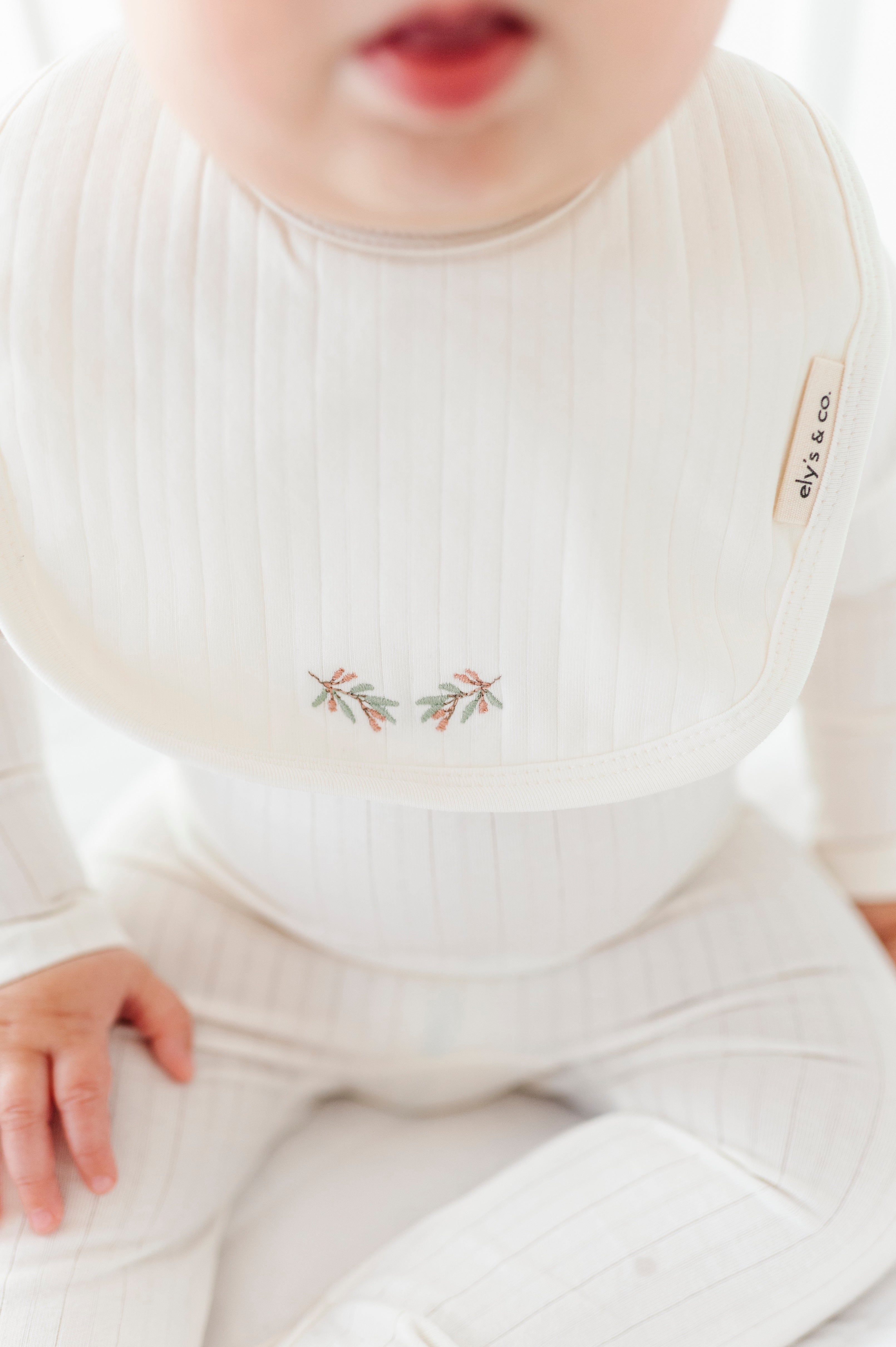 Organic Wide Rib Embroidered Scallop Collar Collection - Bib