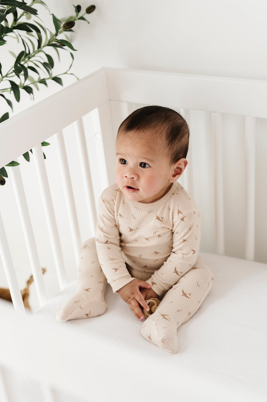 Ribbed Cotton - Bird Collection - Take Me Home Sets