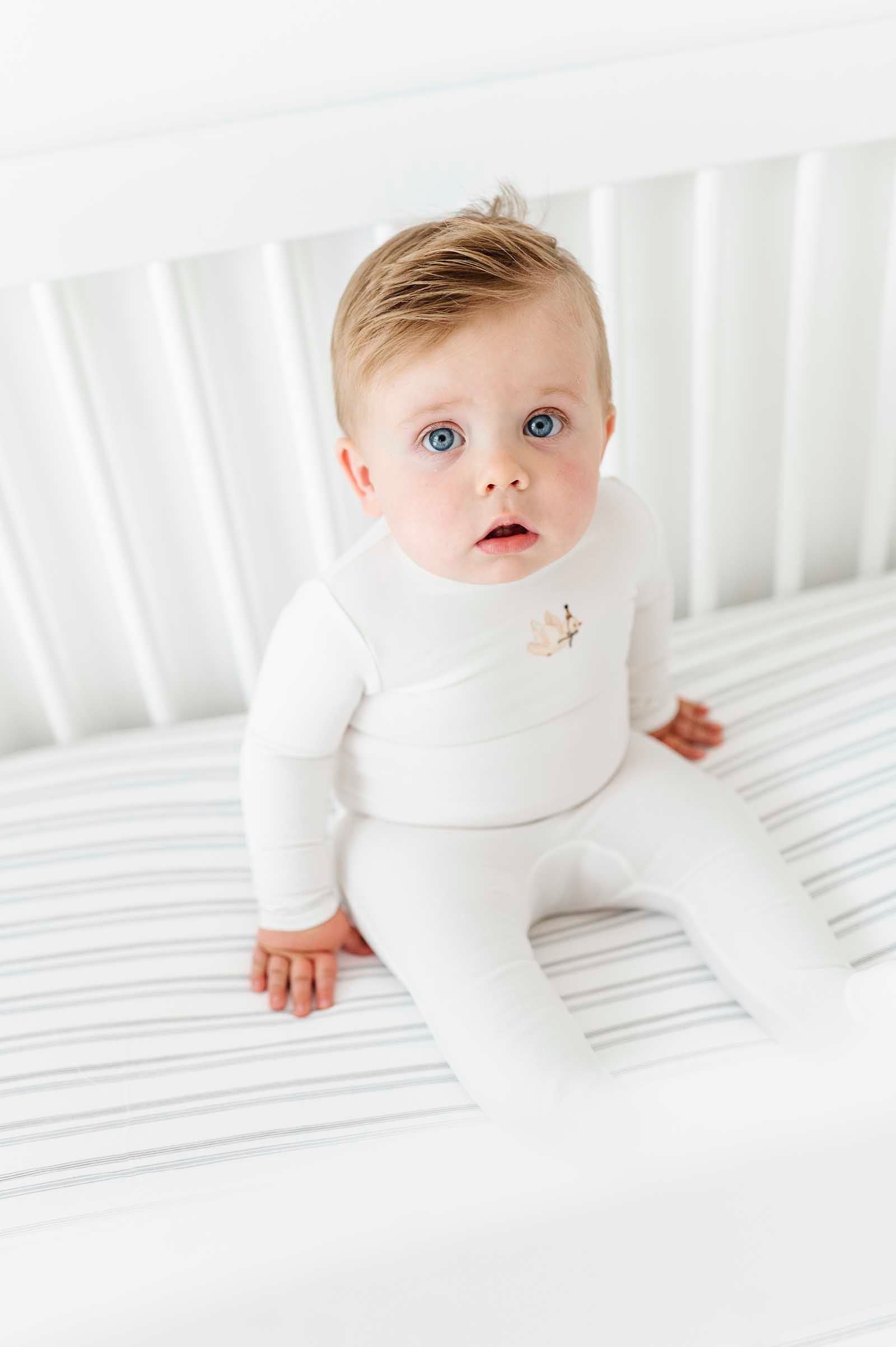 baby's choice Versatile crib sheet bedding set grey dragonfly