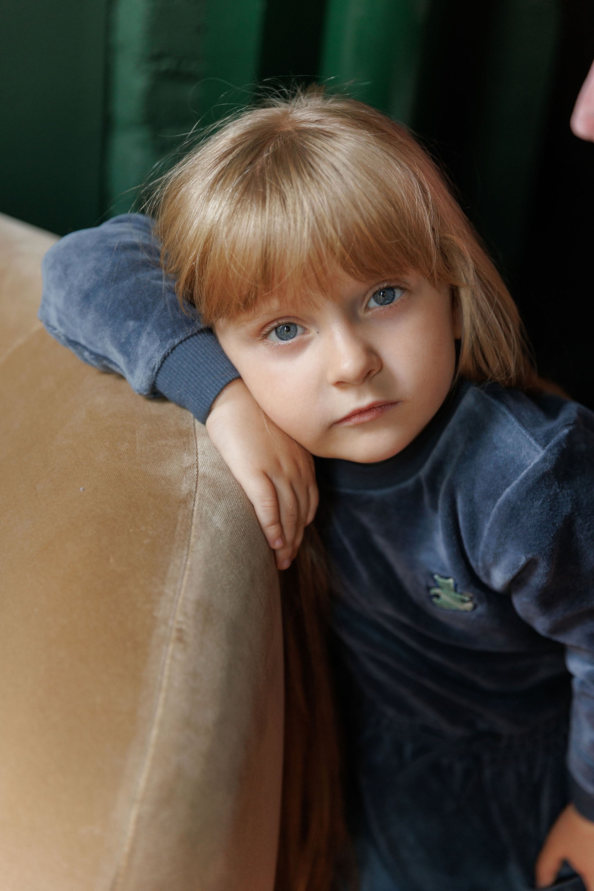 Velour Plaid Bear Collection - Dress