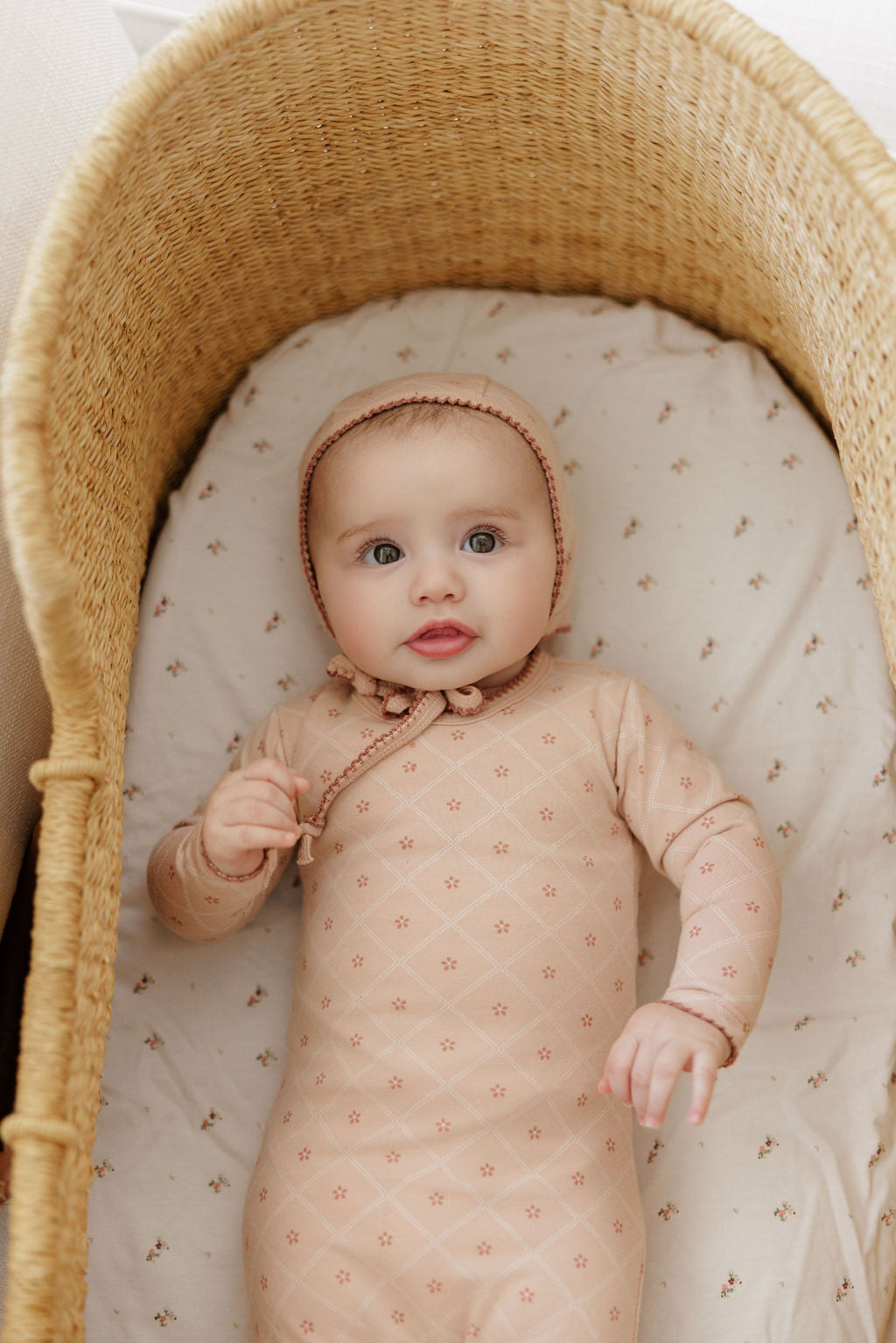 Diamond Print Collection - Paci Clip