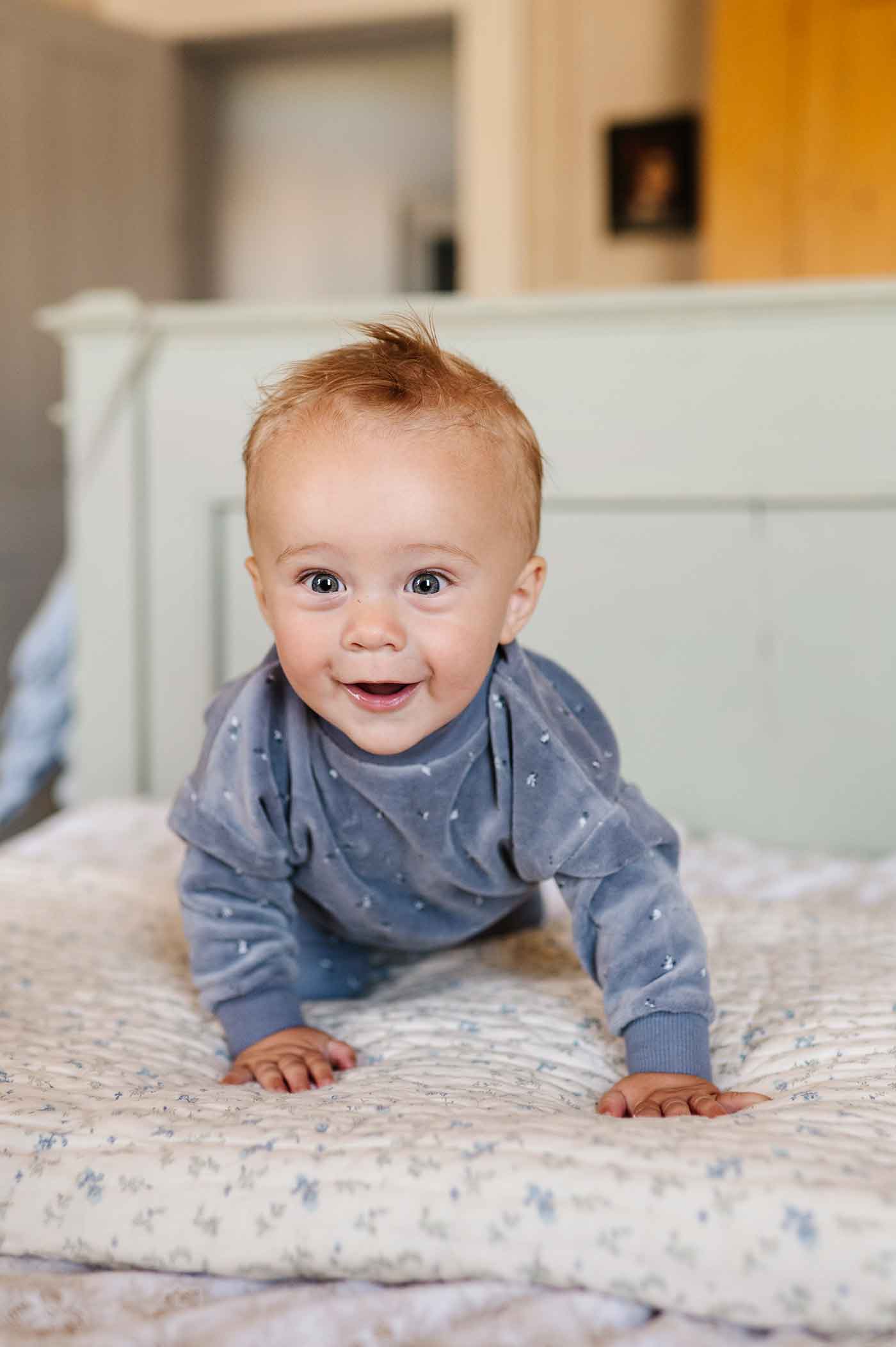 Velour Cluster Flower &amp; Leaf Collection - Velour Top and Cotton Legging Lounge Set