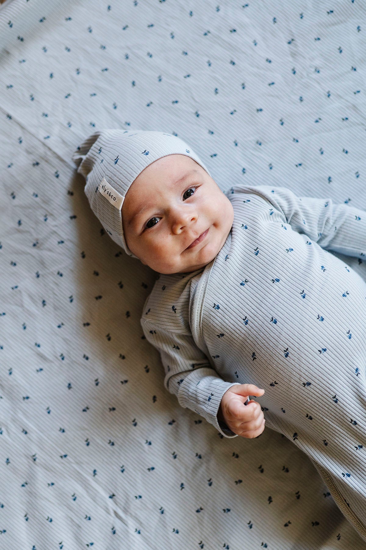 Blue/Blue Berry collection complete