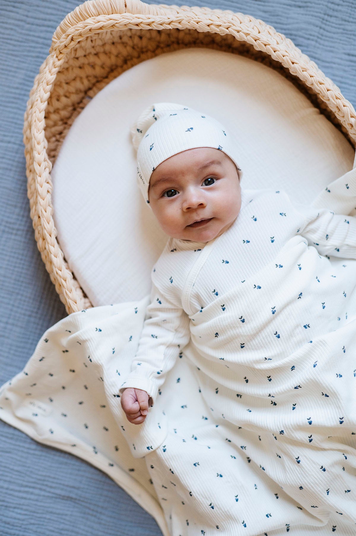 Ivory/Blue Berry Collection