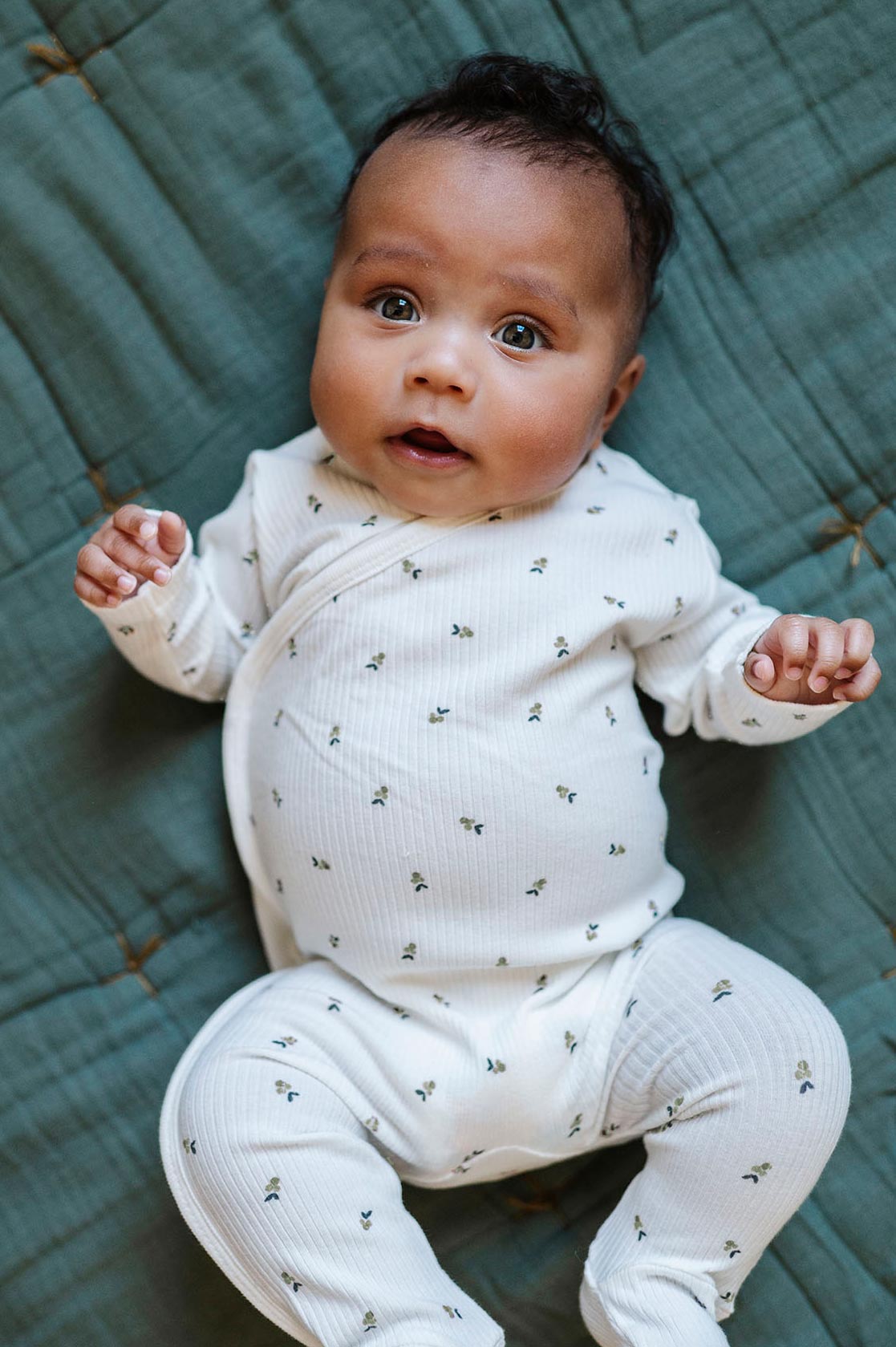 Ivory/Sage Berry collection