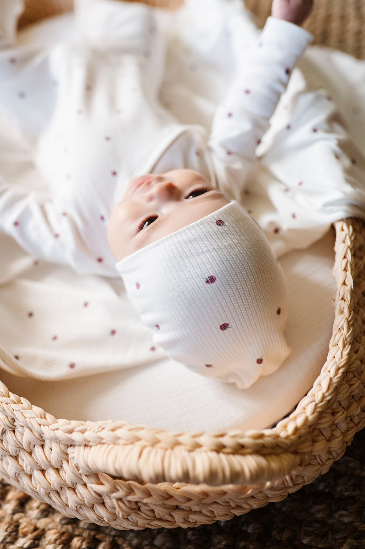 full Strawberry collection 