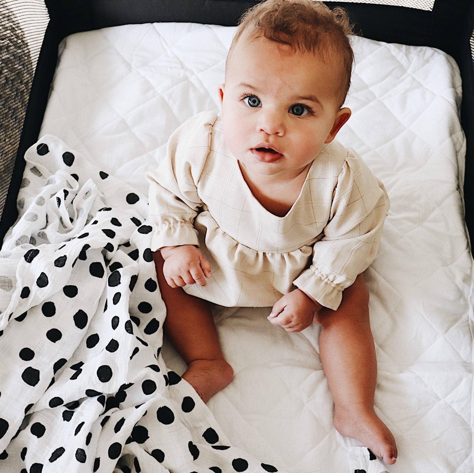 3 Pack Cotton Muslin Swaddle Blanket Ely's & Co.