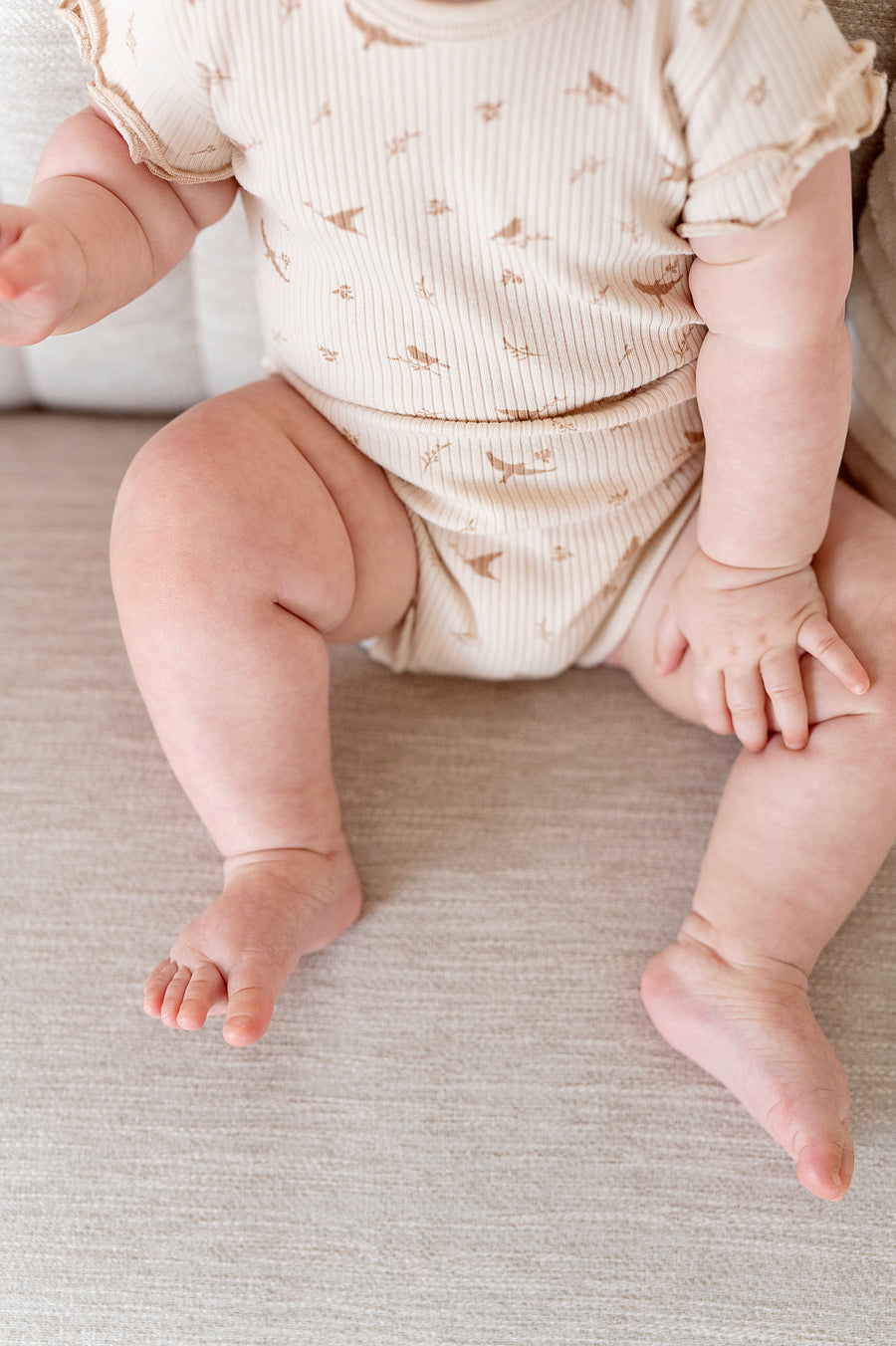 Ribbed Cotton - Bird Collection - Ruffle Rompers