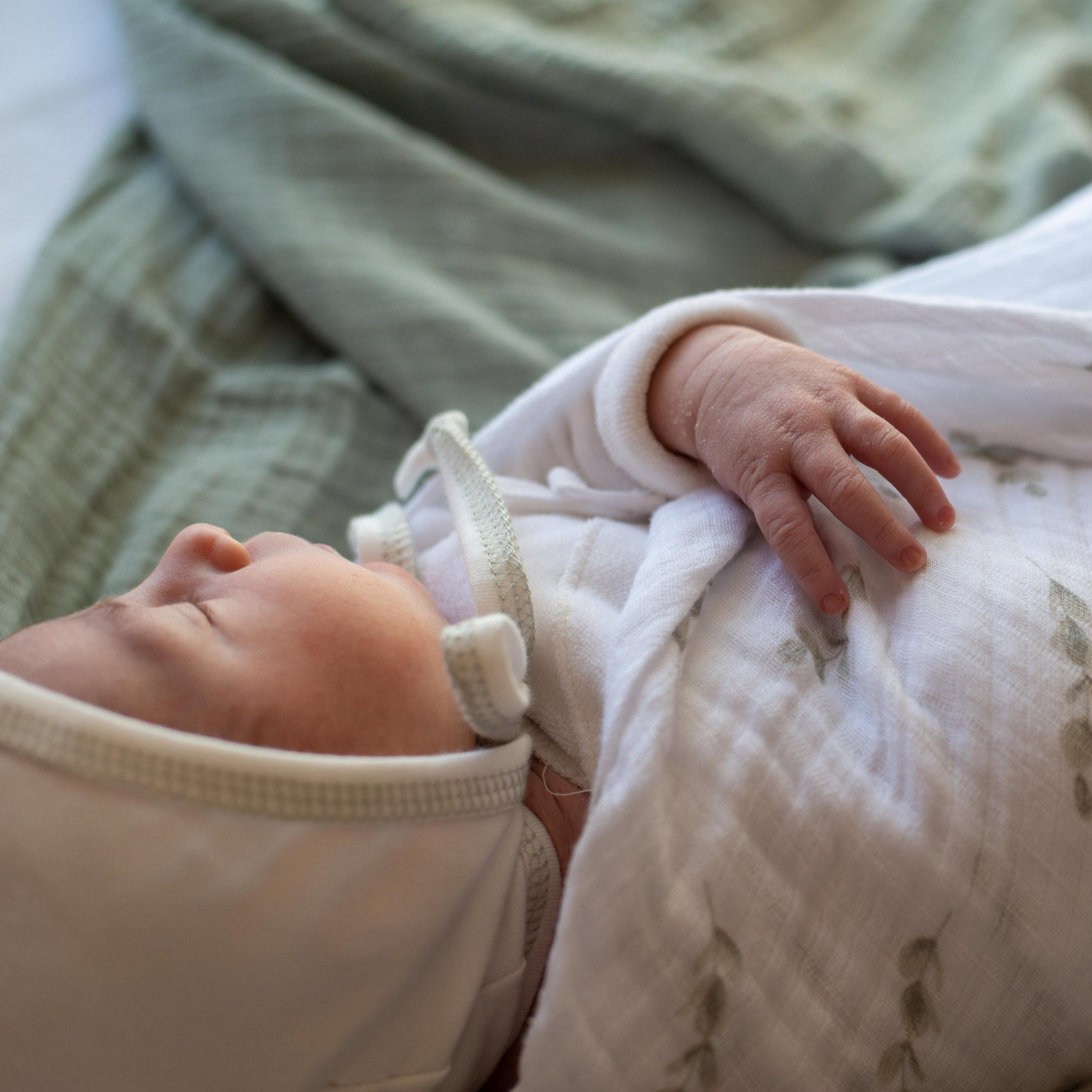 2 Pack Cotton Muslin Swaddle Blanket - Eucalyptus &amp; Sage