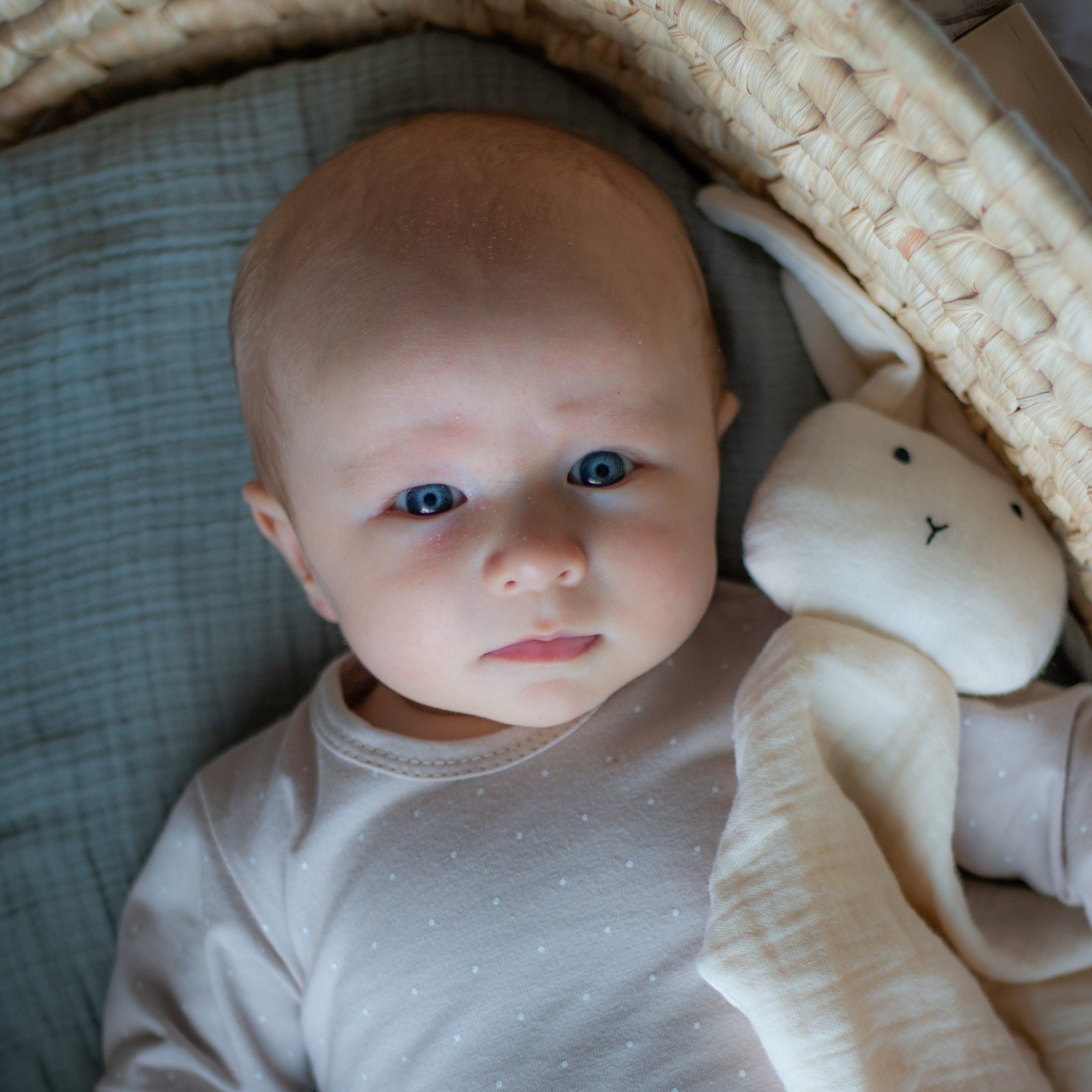 Cotton Muslin Swaddle Blanket - Ocean Blue