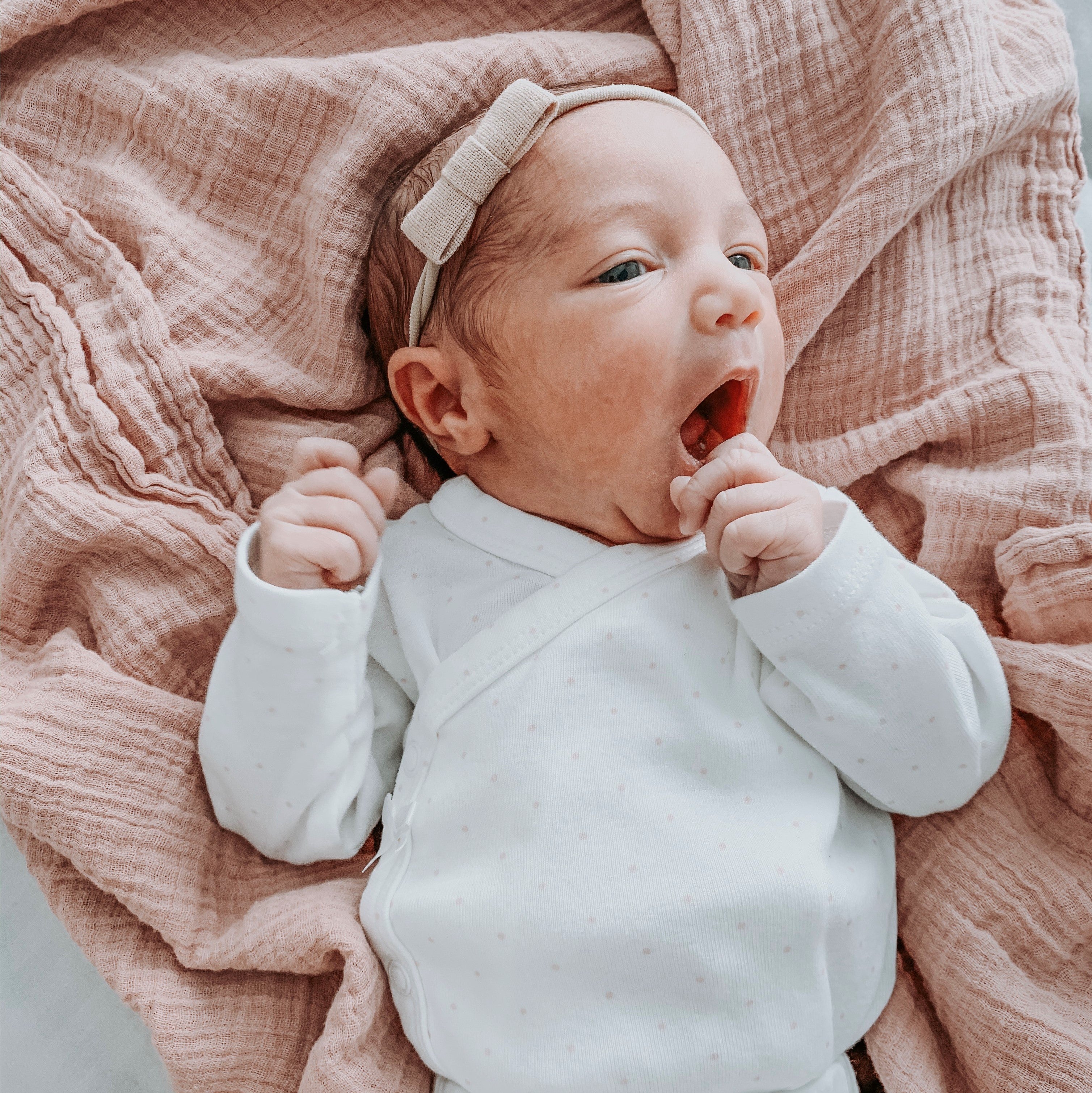 2 Pack Cotton Muslin Swaddle Blanket - Lush Pink