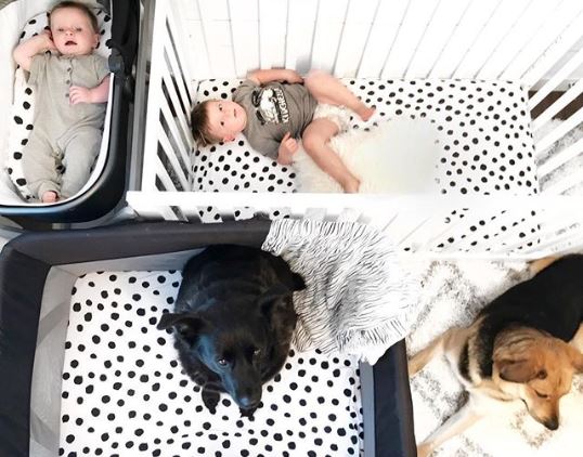 Pack N Play I Portable Crib Sheet Set
